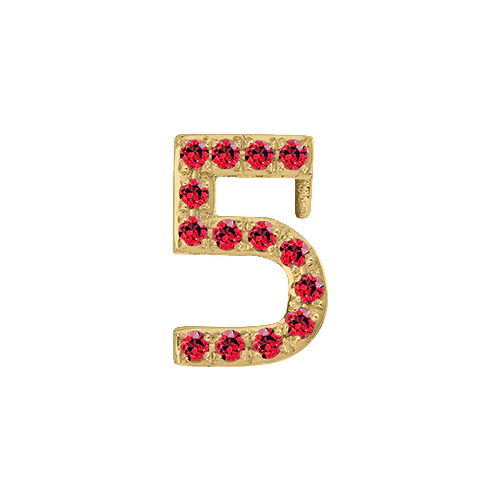 Ruby + 14k Yellow Gold Number Charm - Image 6